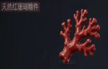 网2