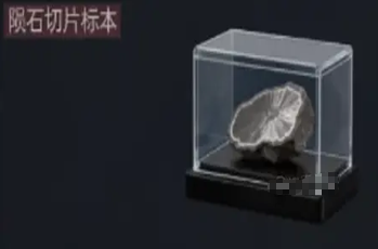 网3