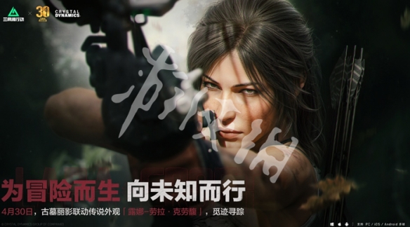 网2
