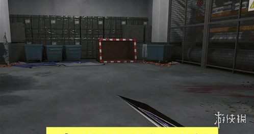网5