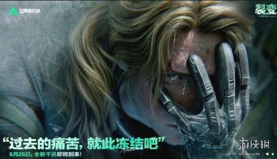 网1