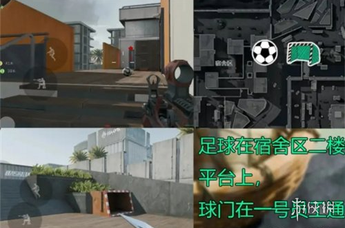 网6