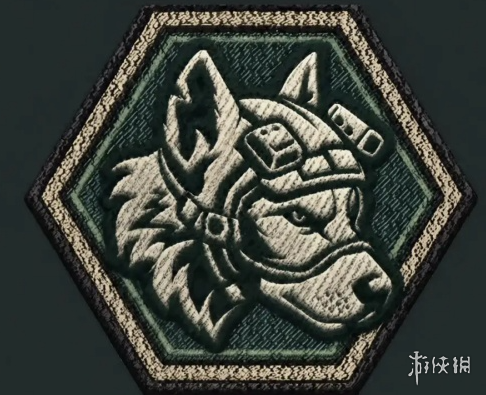 网10