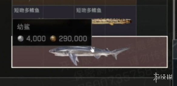 网3
