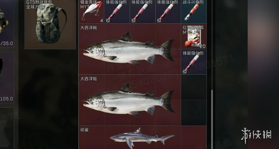 网3
