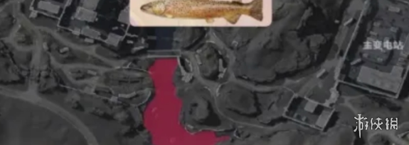 网7