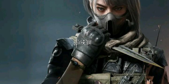 网1