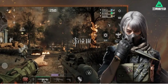 网1