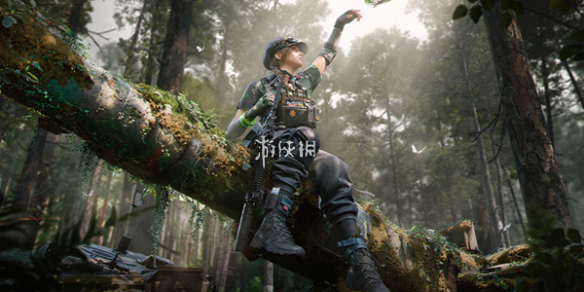 网1