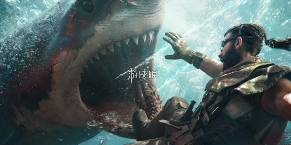 网1