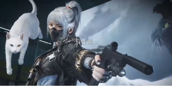 网1